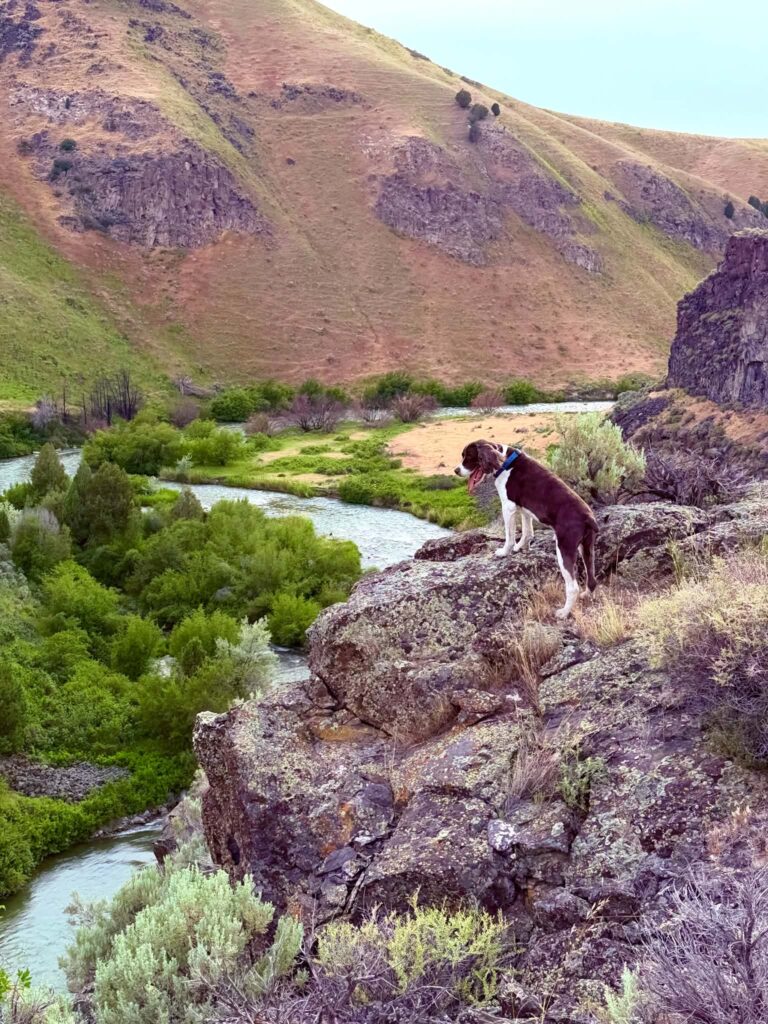 lucky at wolverine canyon, 06-08-2026 (Idaho)