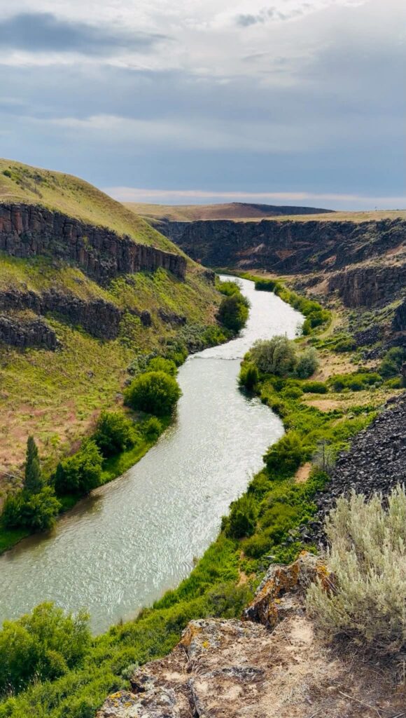 wolverine canyon, north story creators